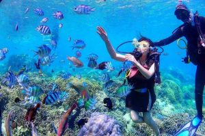 lặn ngắm san hô